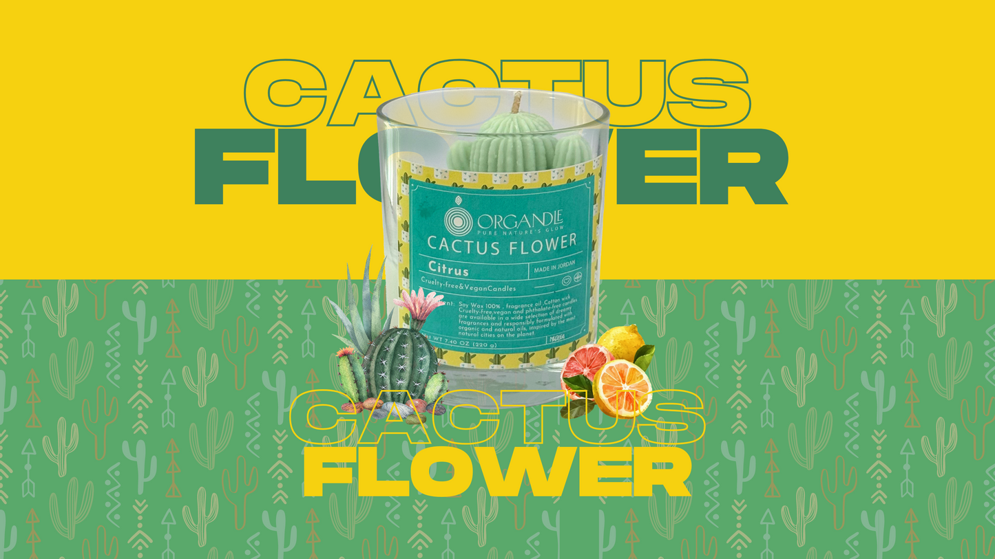 Cactus Flower