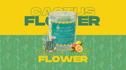 Cactus Flower Candle 