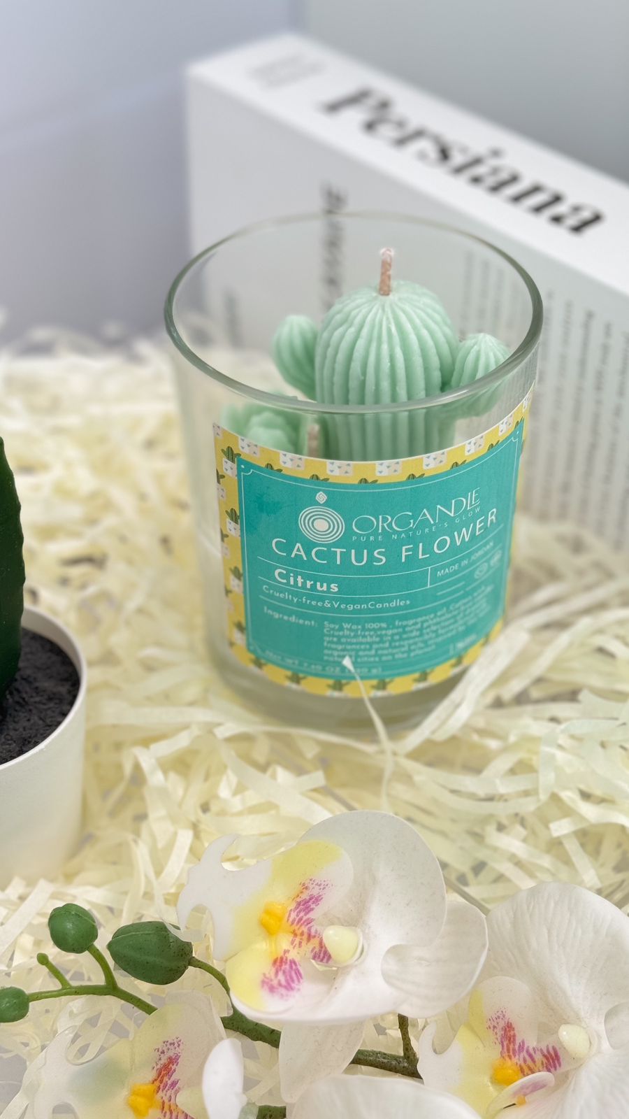 Cactus Flower